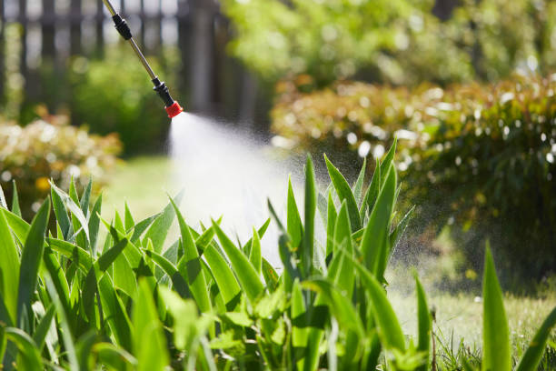 24/7 Emergency Wasp Removal experts in Westwood, MI