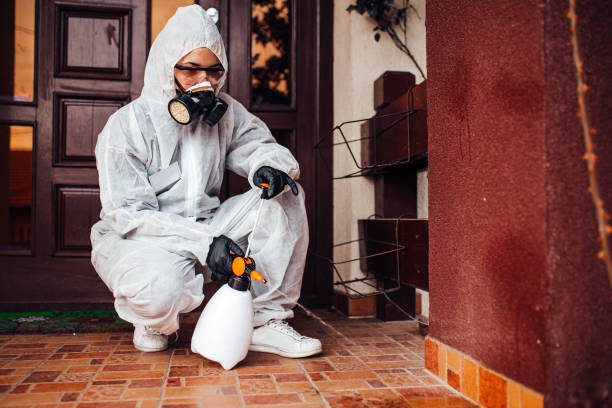 Reliable Wasp Removal contractor in Westwood, MI by Show Me Pest Control